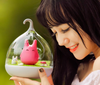 Touch Sensor Ultimate LED Fairy Night Light [Free Shipping]