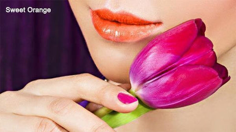 100% Long Lasting Waterproof Matte Lip Gloss Lipstick